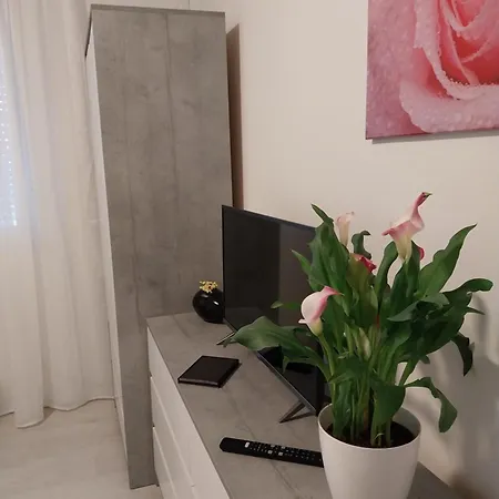Apartment M Pula